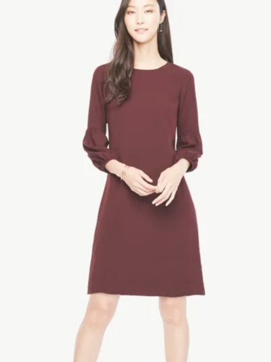 Ann Taylor Dresses & Skirts - NWT Ann Taylor Shift Dress
